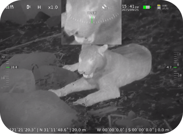 Dual-light Binoculars 50mm view 2